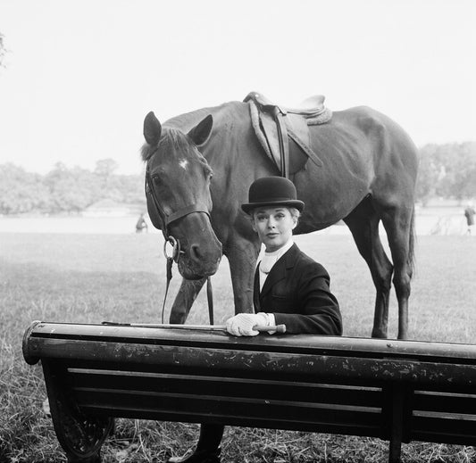 "Tippi Hedren Out Riding" from Getty Images